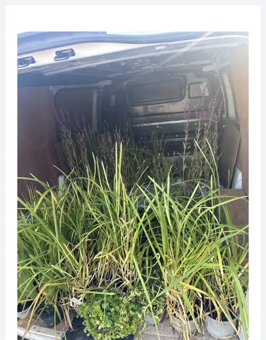 Potted plants and grasses loaded for a careful nursery delivery — fragile, awkward loads that need to arrive upright and undamaged. No two jobs are the same.